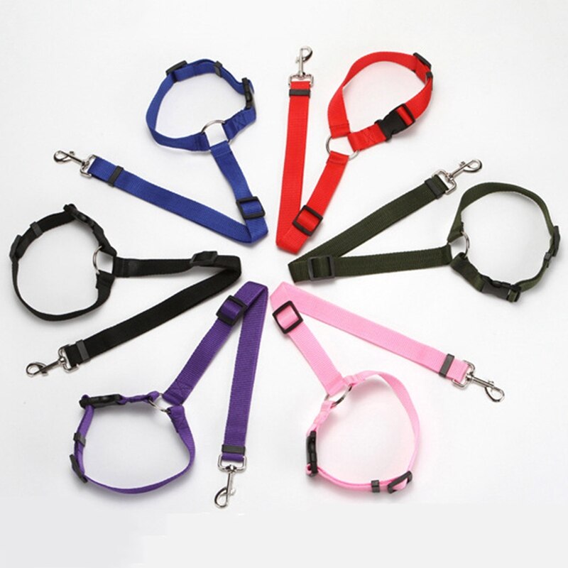 Car Safety Leash with Ring for Dogs in Vehicles