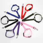 Car Safety Leash with Ring for Dogs in Vehicles