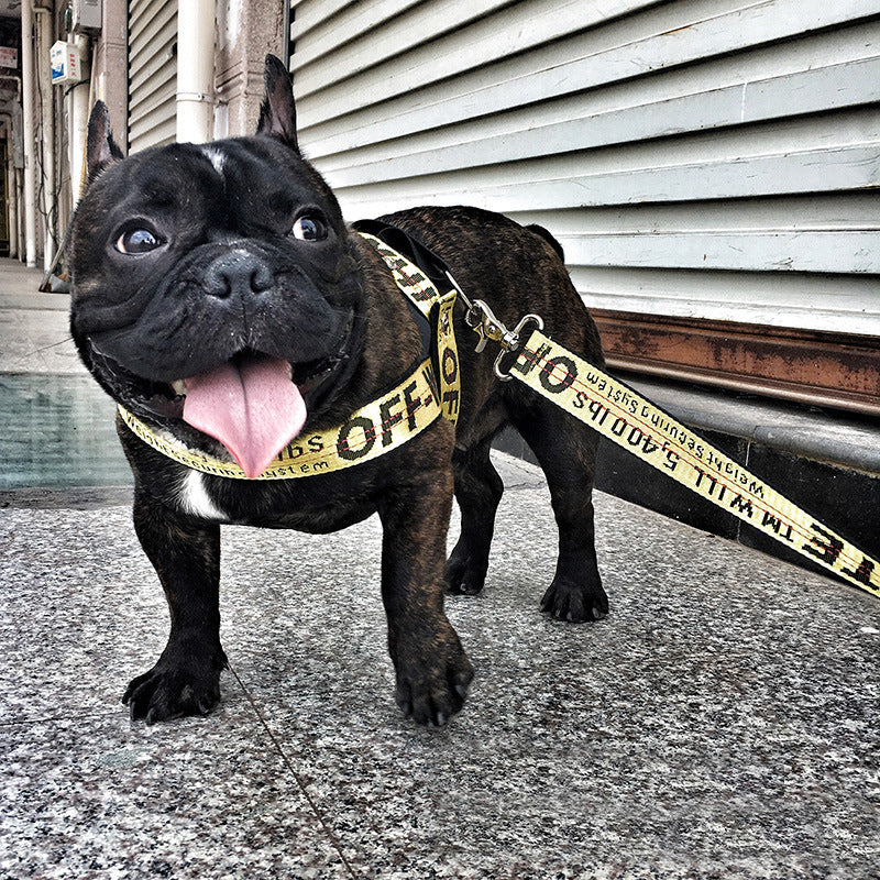 Gold Chain Nylon Dog Collar and Leash Set for Pets