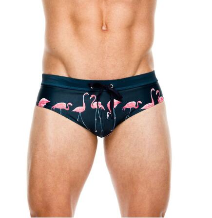 Men's Flamingo Print Swim Briefs