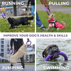 Puller Outdoor Dog Ring Toys Dog Fetch Toy Mini 2 Rings for Small Dogs Purple