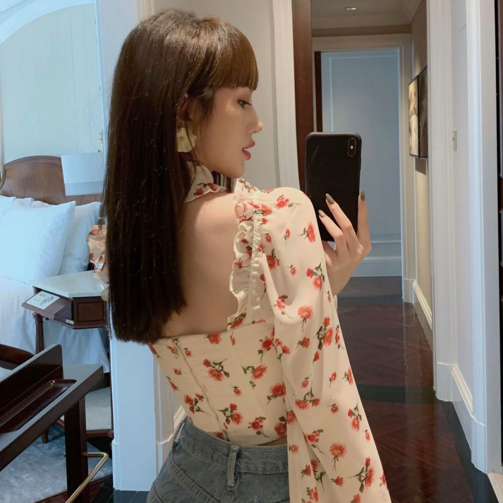 Women's Chiffon Printed Crop Top Long Sleeve Shirt