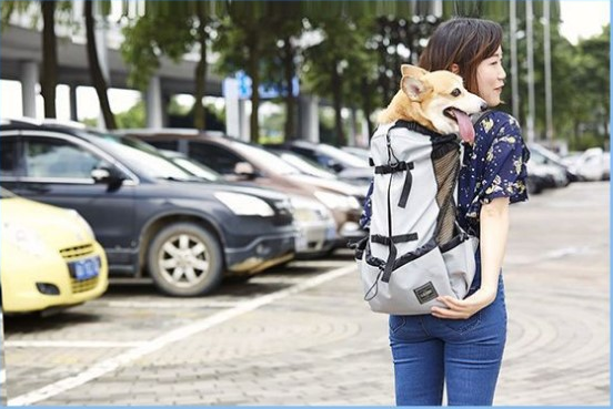 Ventilated and Washable Pet Backpack Carrier
