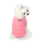 Warm Two-Legged Sweatshirt for Small Teddy Dogs