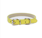 Collar Dog Chain