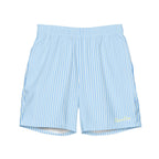 Men's Pinstripe Swim Trunks