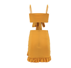 Women's Tie-Front Crop Top and Ruffle Swim Skirt Set