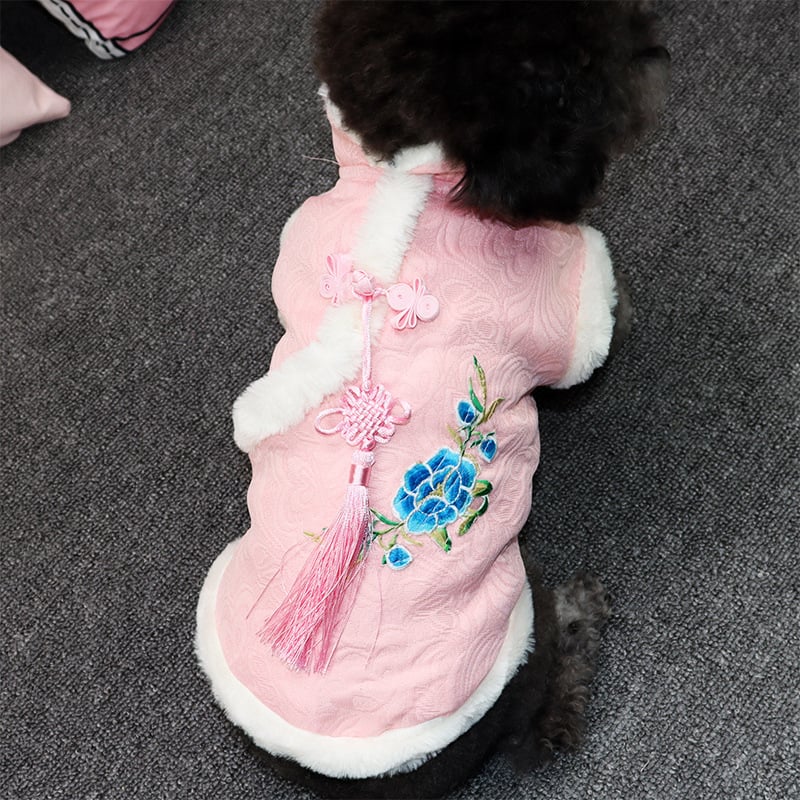 Teddy Corgi in Tang Suit and Hanfu for Autumn/Winter