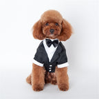 Teddy Clothes for Golden Retriever Fall Winter Suit