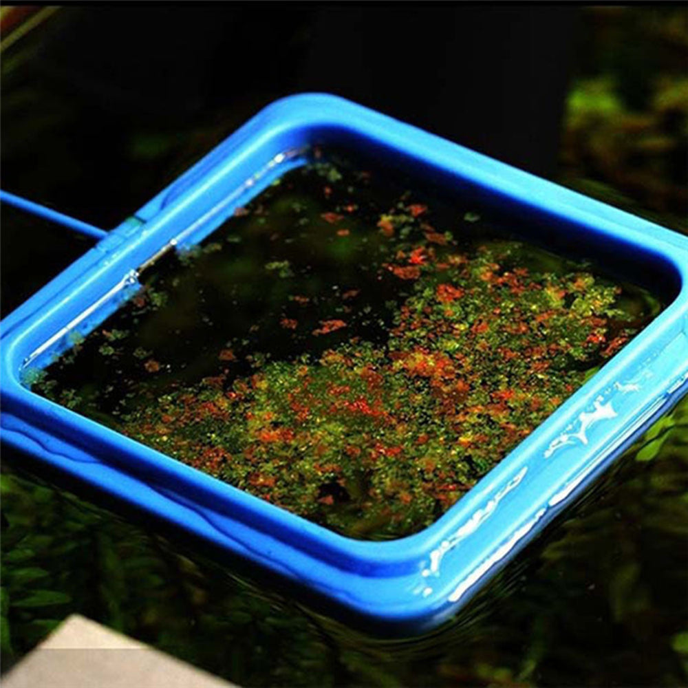 Aquarium Feeding Ring for Small Fish Tanks and Accessories