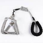 Nylon Fashion Pet Leash with Chest Strap and Chain
