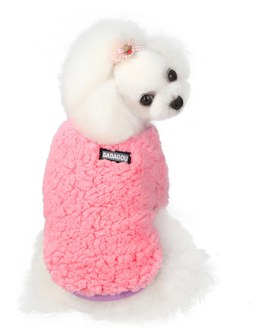 Warm Two-Legged Sweatshirt for Small Teddy Dogs