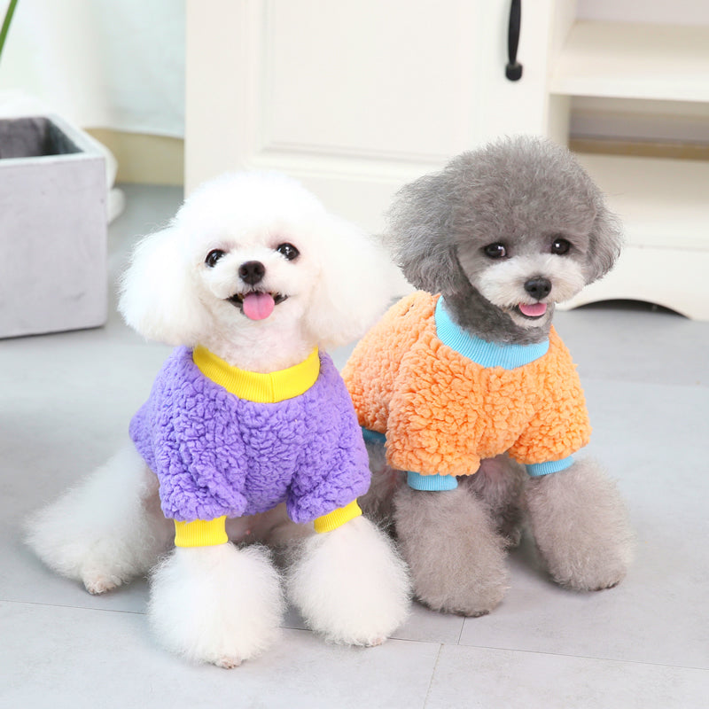 Warm Two-Legged Sweatshirt for Small Teddy Dogs