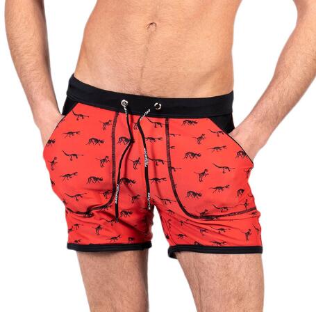 Men's Dinosaur Print Swim Trunks