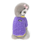 Warm Two-Legged Sweatshirt for Small Teddy Dogs