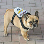 Pet Dog Travel Backpack for Outdoor Adventures