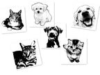 Pet Dog and Cat Tag Pendant Keychain with Photo Keyring | Accessory