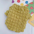 Thickened Plush Teddy Bear Sweater for Small & Medium