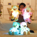 50cm LED Light-Up Teddy Bear Plush Toy | Home Decor