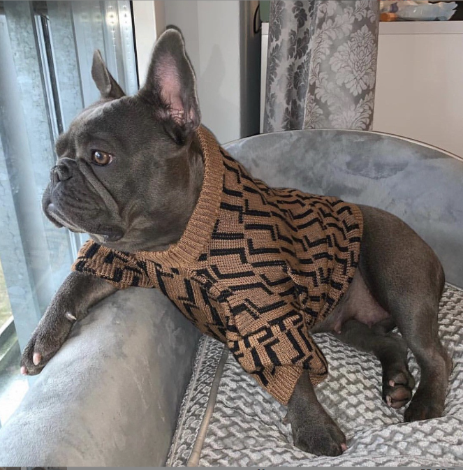 Teddy Fadou Schnauzer Tide Brand Odell Ice T-Shirt