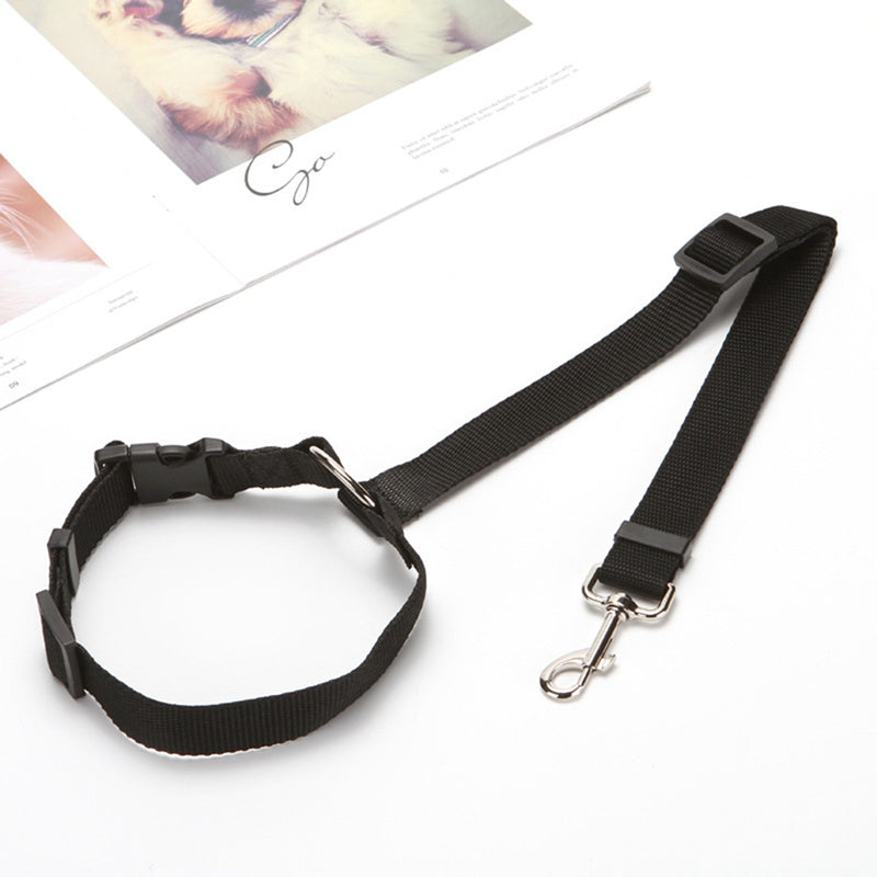 Car Safety Leash with Ring for Dogs in Vehicles
