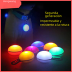 LED Glow Dog Tag Pendant for Pets