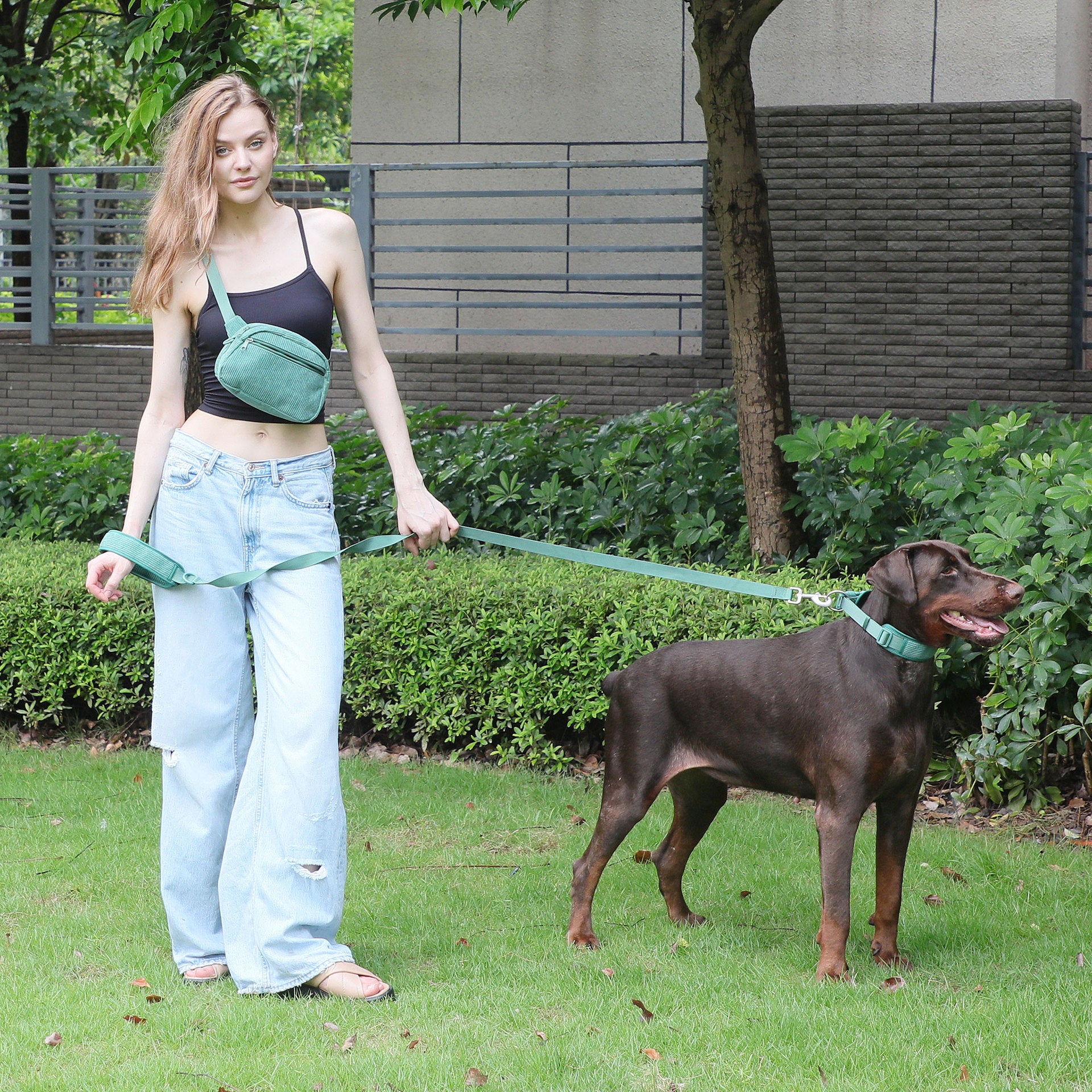 Dog Backpack Suit for Chest and Back Walking