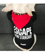 Casual Terry Cotton Teddy Letter Outfit