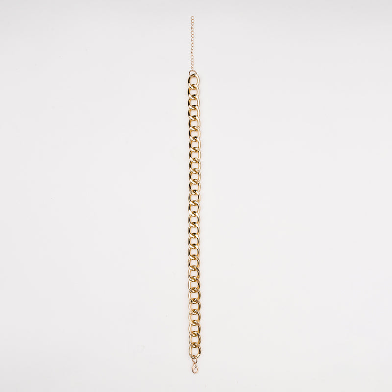 Luxury Gold Chain Necklace for Cats and Dogs