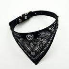 Colorful Triangle Scarf for Dogs and Pets