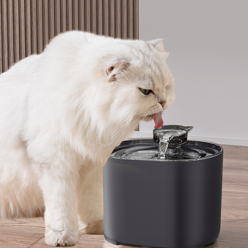 Automatic Cat Water Dispenser