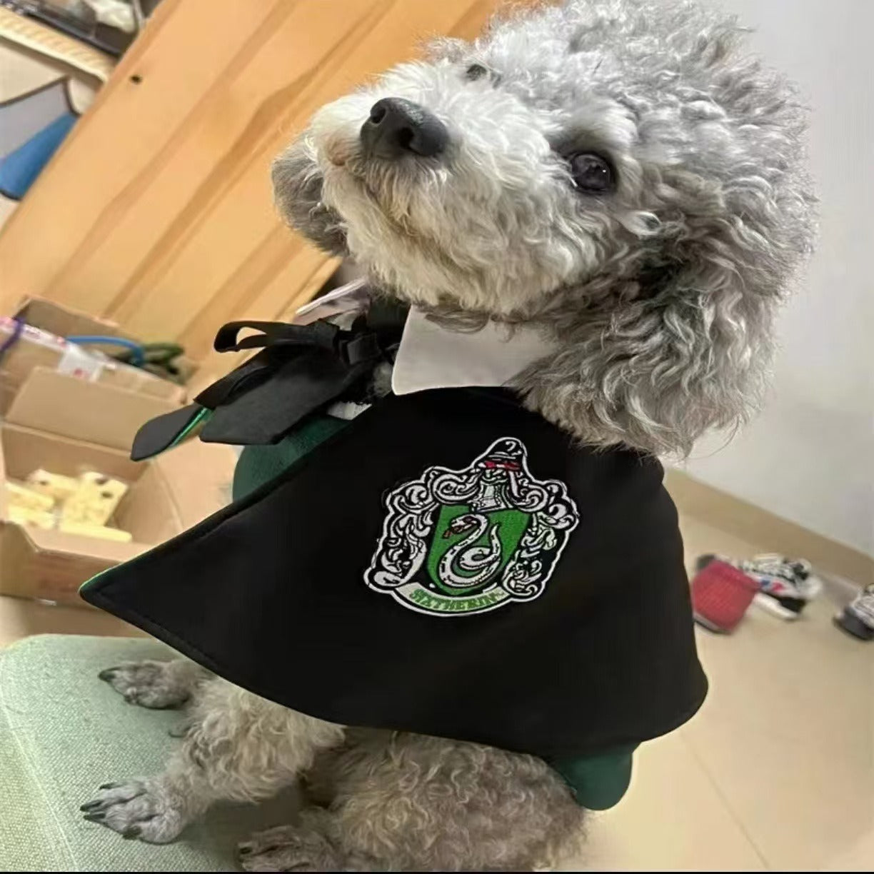Pet Magic Cloak & Accessories for Cats and Dogs