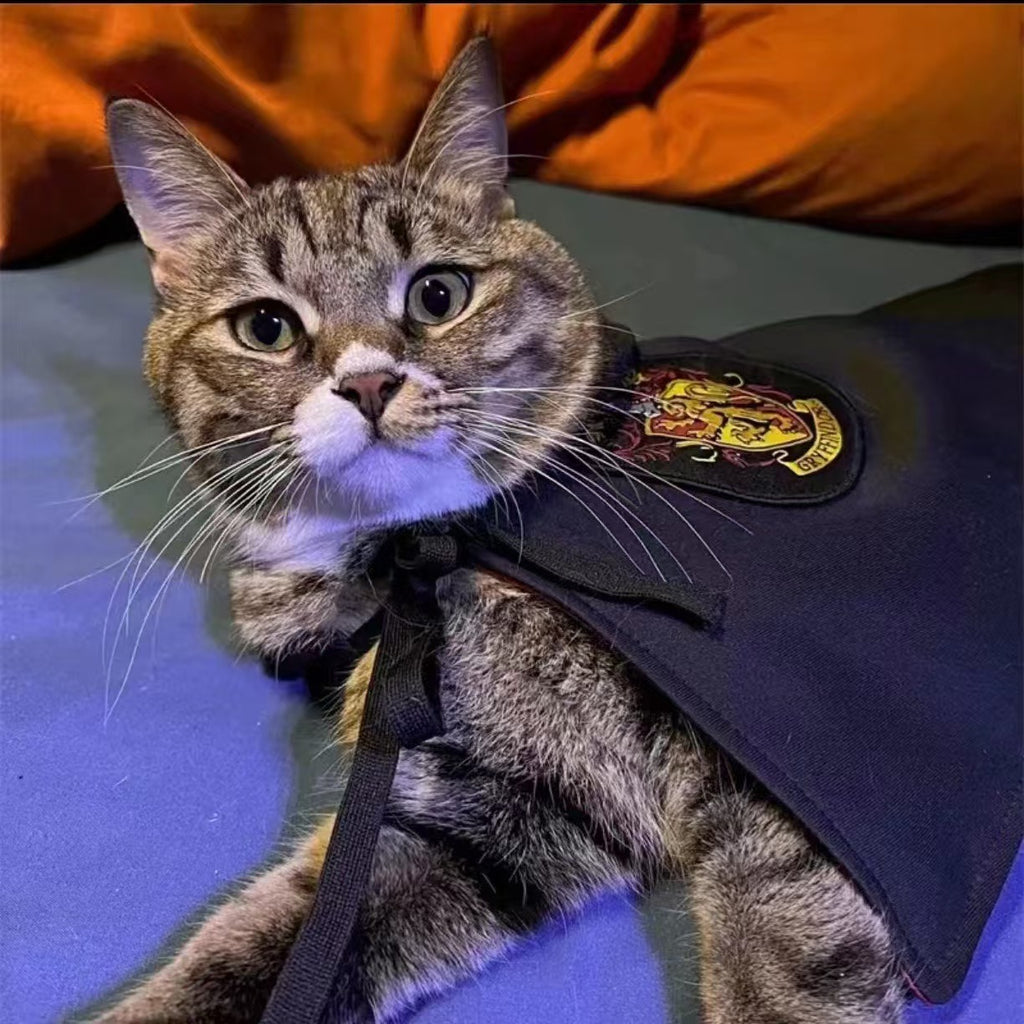 Pet Magic Cloak & Accessories for Cats and Dogs