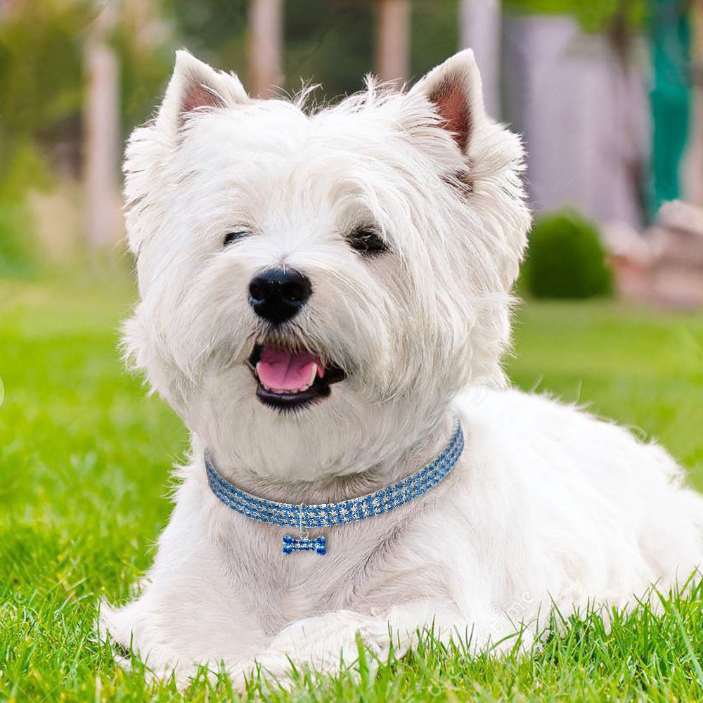 3-Row Rhinestone Pet Necklace for Small Dogs and Cats