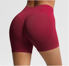 Women's Seamless High Waist Fitness Shorts