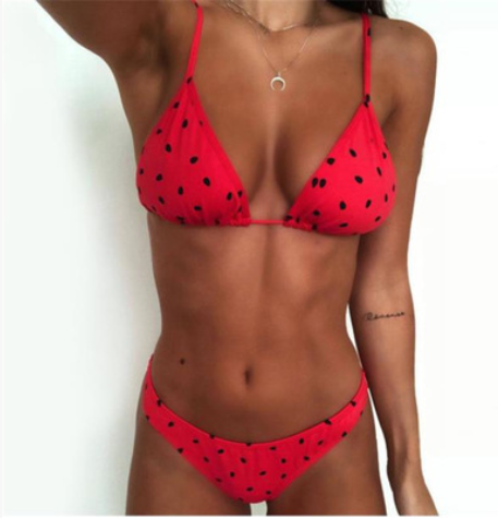 Women's Watermelon Print Triangle Bikini Set