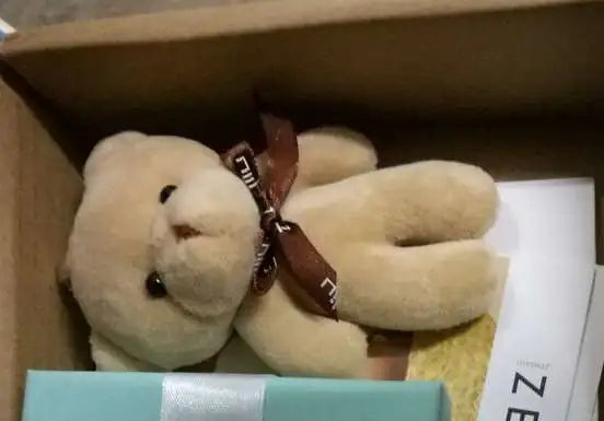Plush Bear Keychain with Plush Bag
