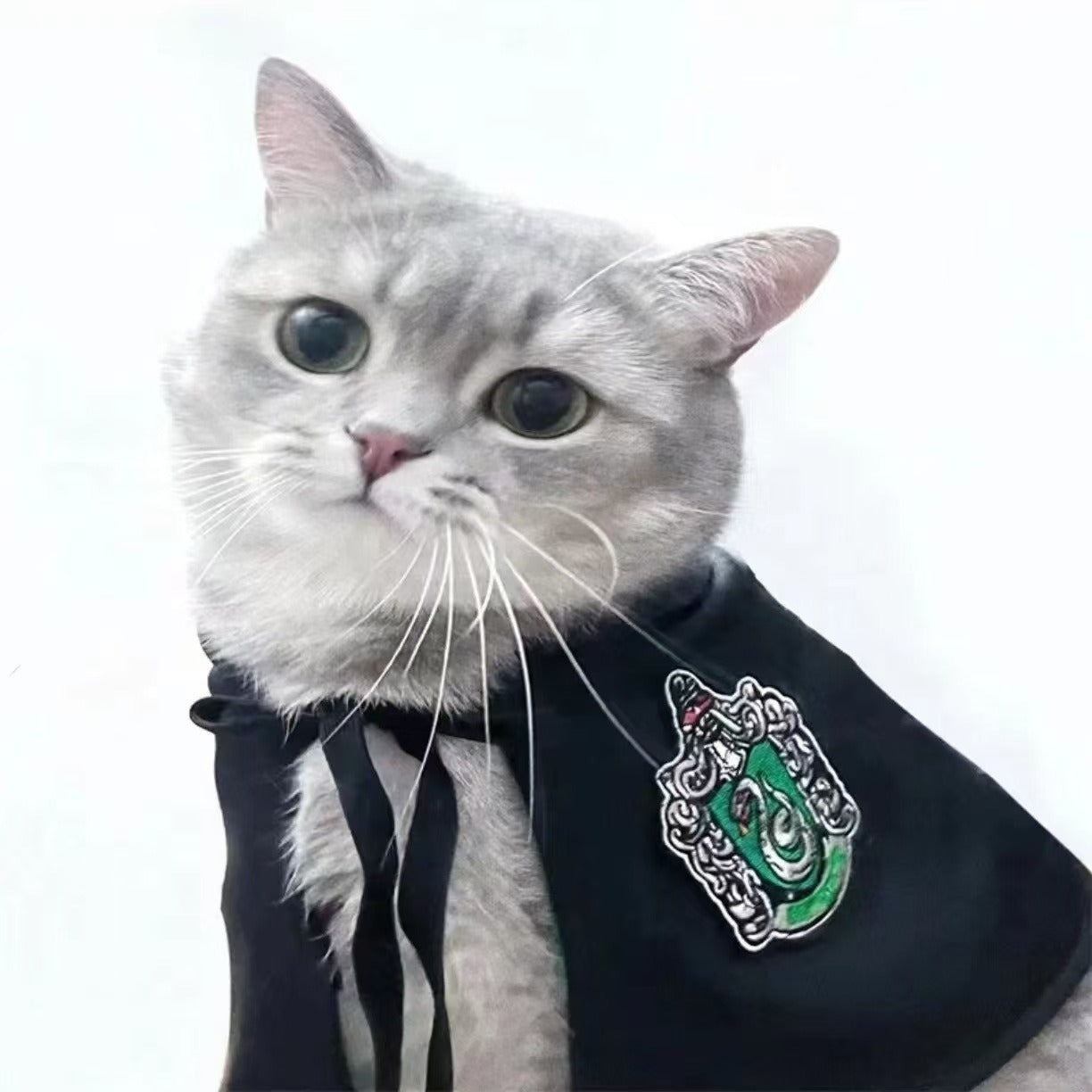 Pet Magic Cloak & Accessories for Cats and Dogs